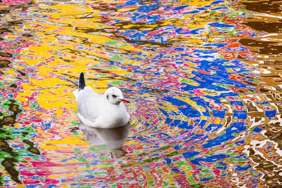 Nature Photographer Of The Year 2024 Winners 22