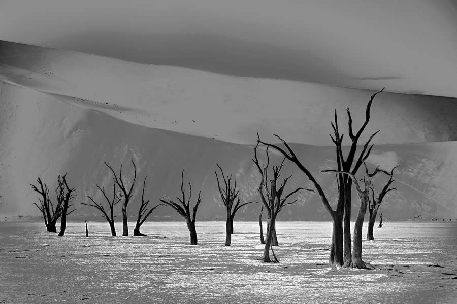 1839 Landscape Photographer Of The Year Awards Winners 13