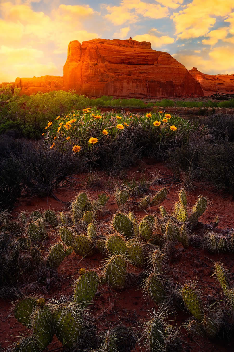 1839 Landscape Photographer Of The Year Awards Winners 18