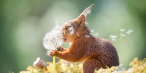 1839 Wildlife Photography Awards Winners 01