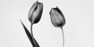 Fine Art Photographhy Awards Nature Photography Winners 01