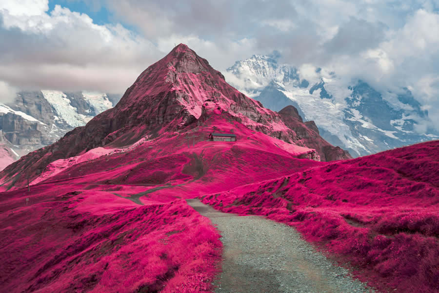 Life In Another Light Infrared Photo Contest 2024 Winners 01