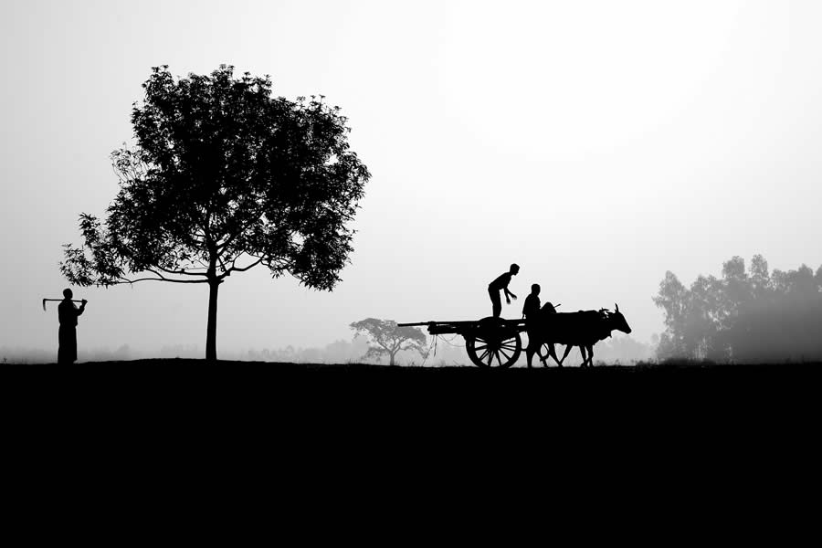 Life In Another Light Infrared Photo Contest 2024 Winners 08