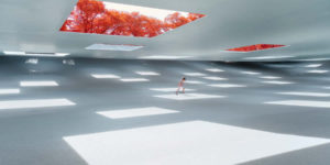 Life In Another Light Infrared Photo Contest 2024 Winners 10
