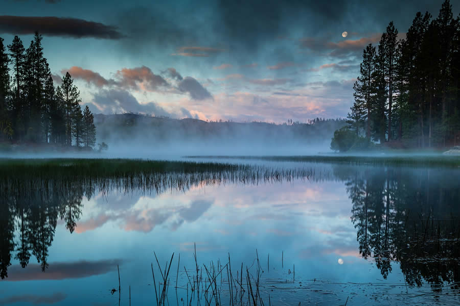 Life In Another Light Infrared Photo Contest 2024 Winners 14