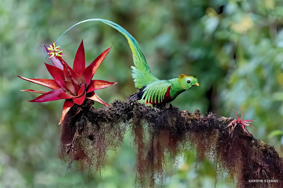 National Wildlife Contest Winners 2024 16