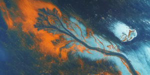 Nature Photography Contest Finalists 2024 01