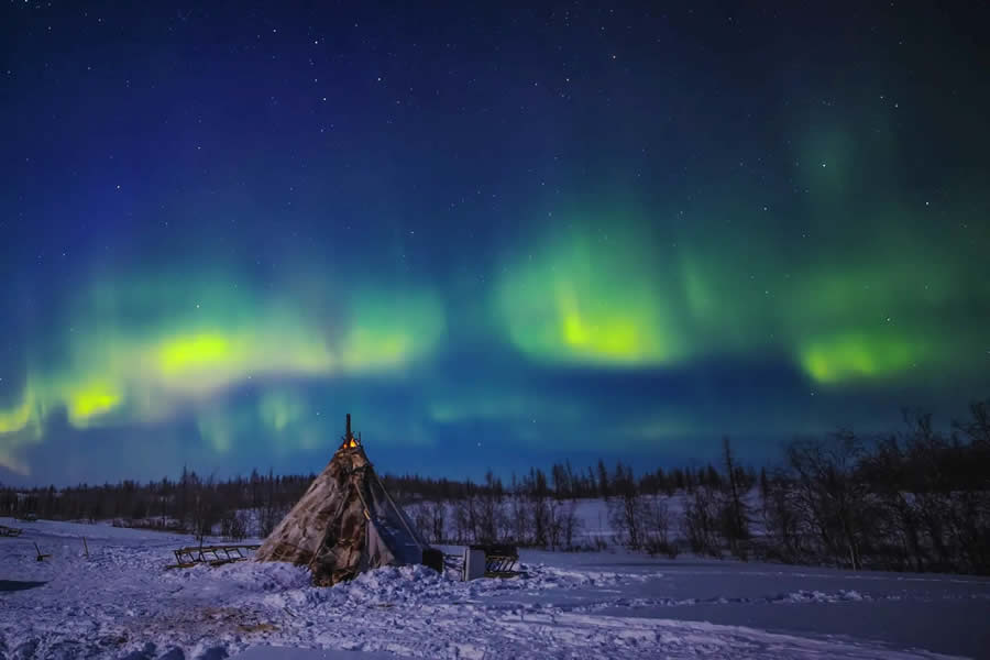 Nature Photography Contest Finalists 2024 22