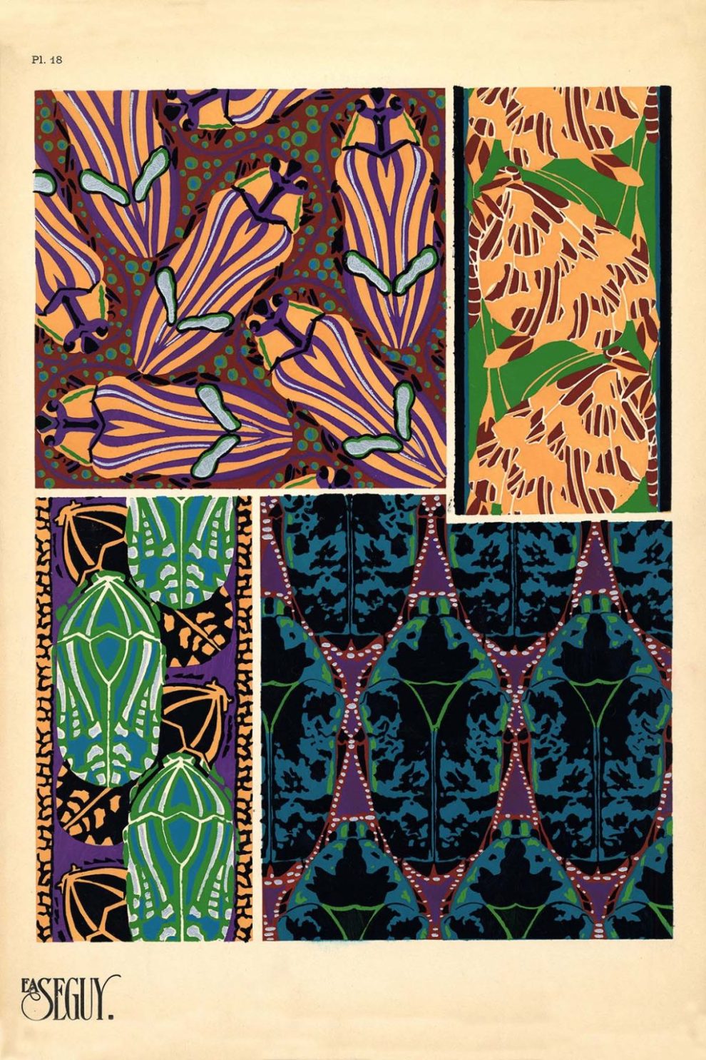 Emile Allain Seguys Insectes Plate 18 1024x1536