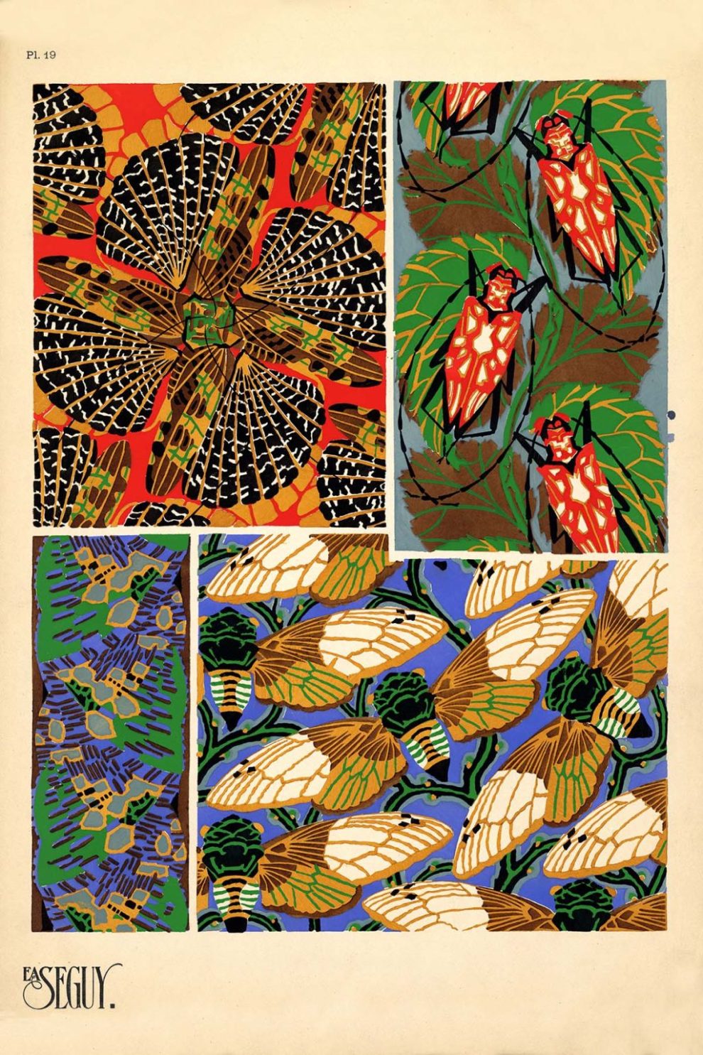 Emile Allain Seguys Insectes Plate 19 1024x1536