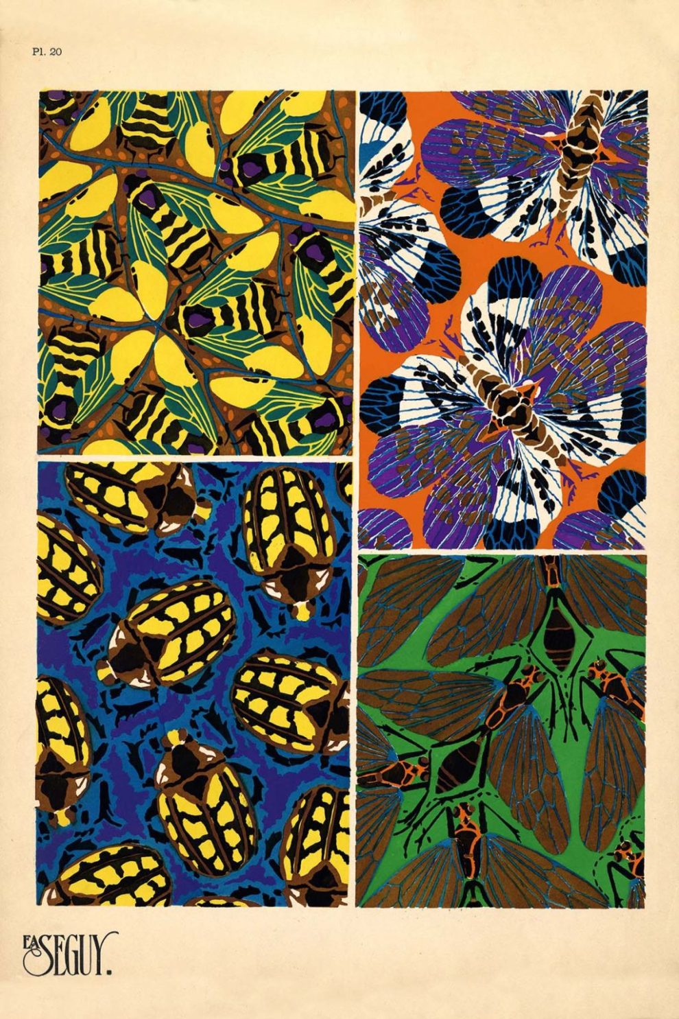 Emile Allain Seguys Insectes Plate 20 1024x1536
