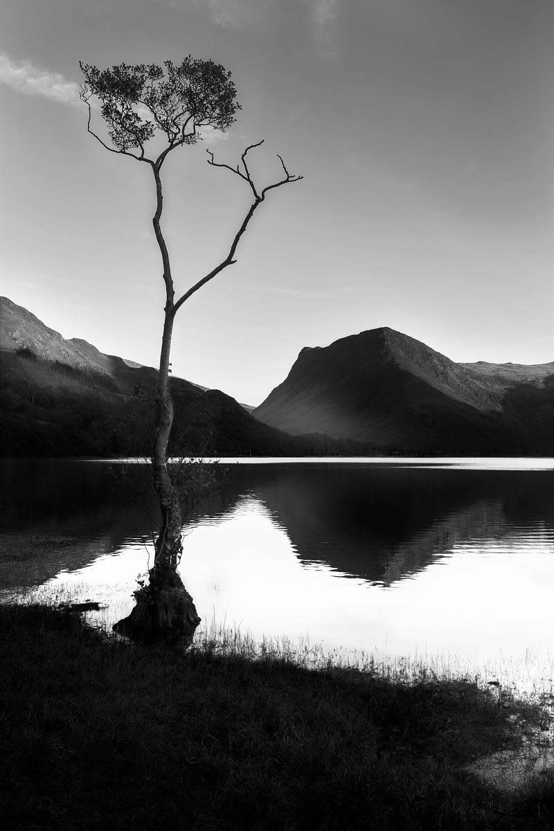 Garden Photographer Black And White Photography Winners 04