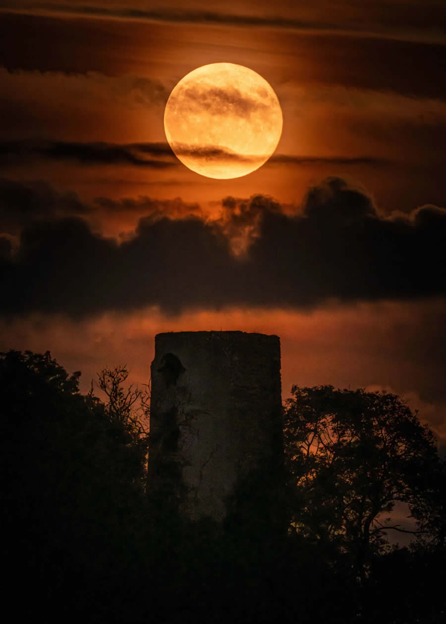 South Downs National Park Photo Competition Winners 06