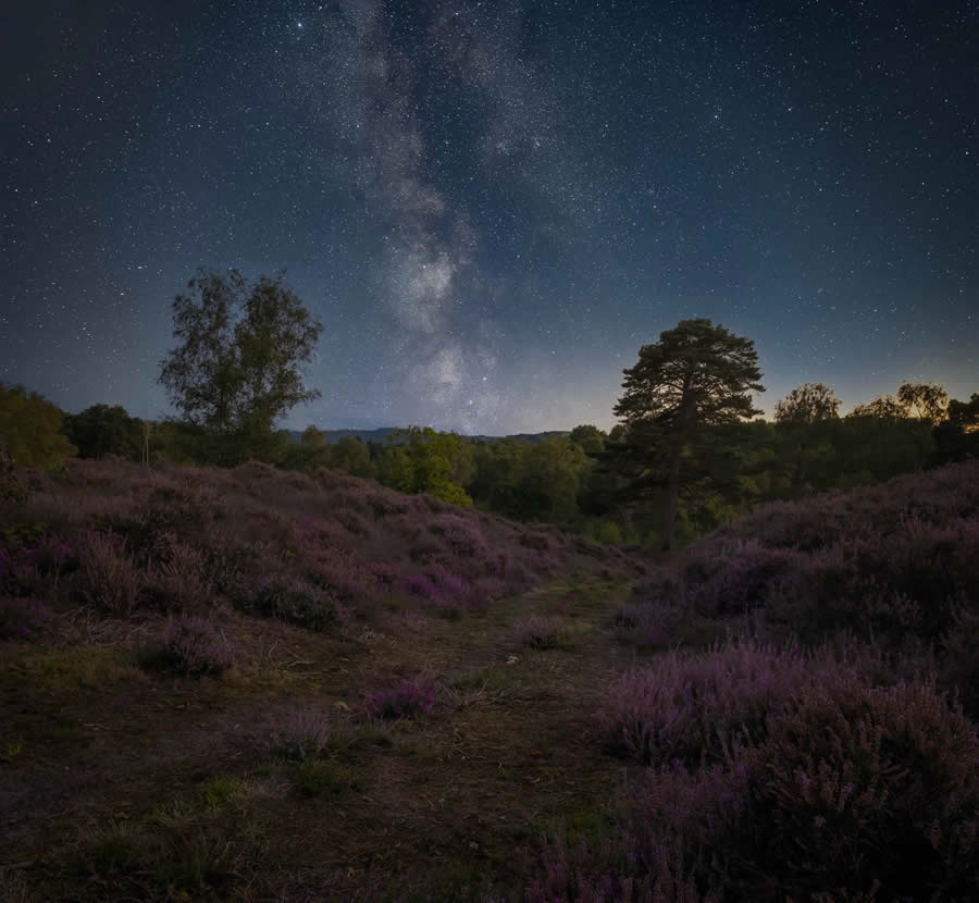 South Downs National Park Photo Competition Winners 08