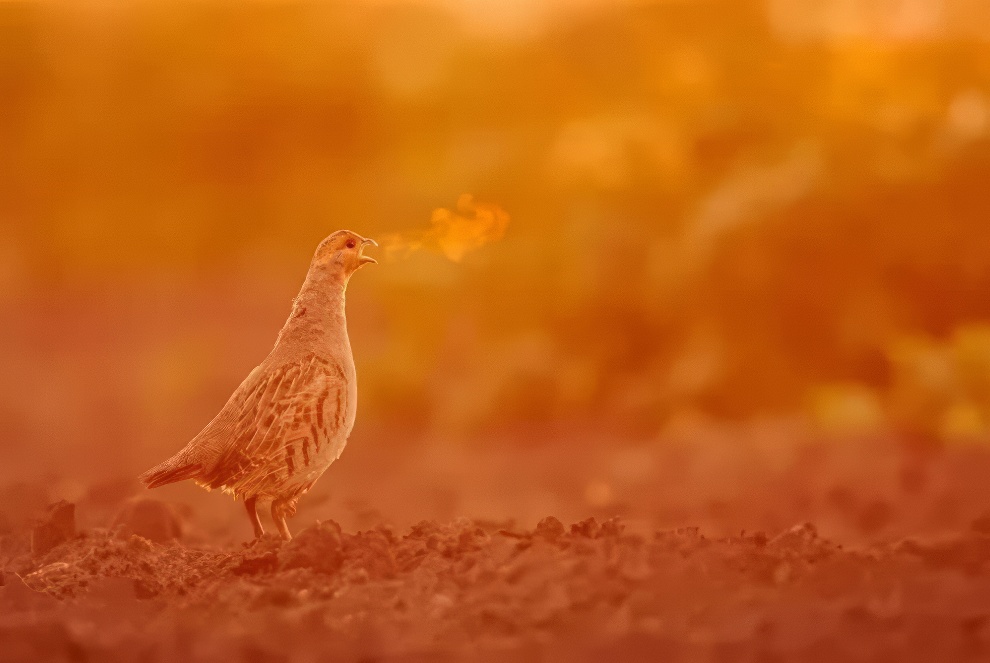 Travel Photographer Of The Year Awards 2024 Winners 04