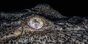 Travel Photographer Of The Year Awards 2024 Winners 11