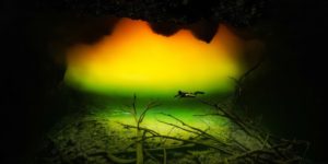 Under Water Photographer Of The Year 2025 Winners 02