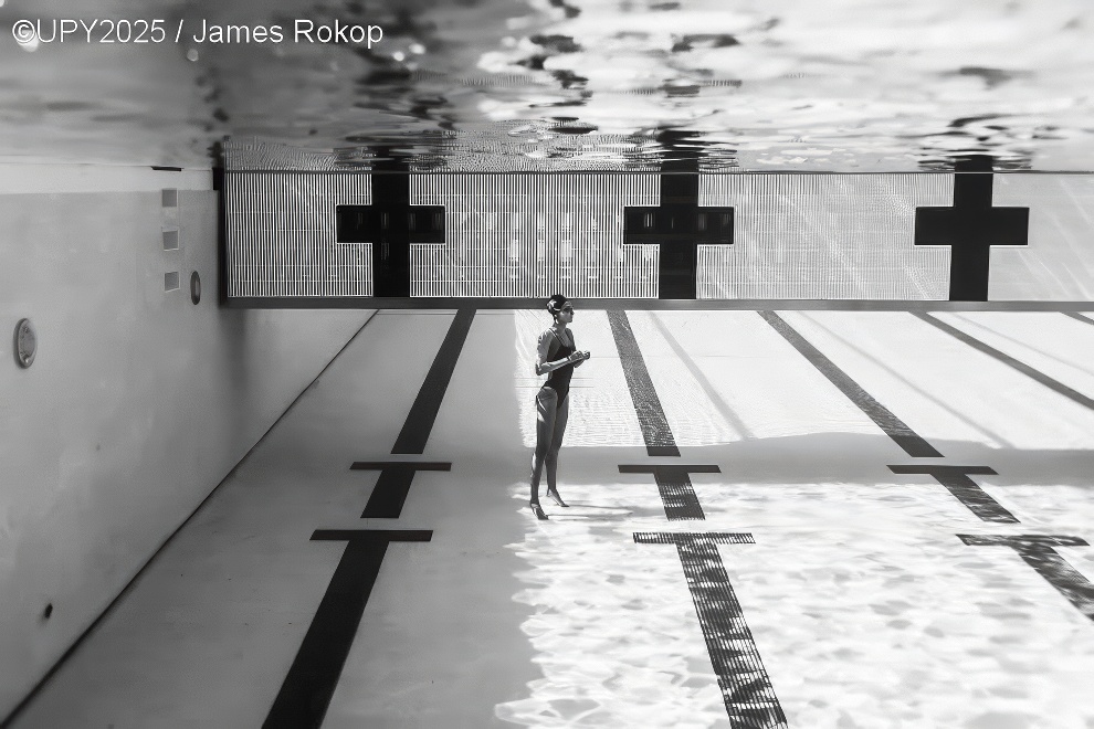 Under Water Photographer Of The Year 2025 Winners 18