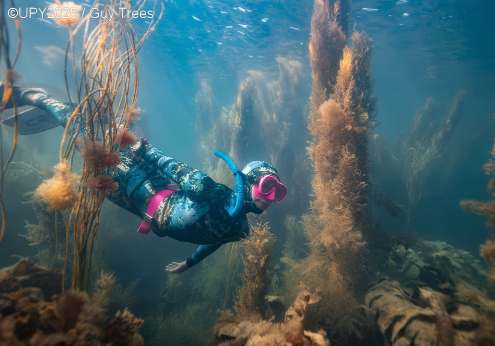 Under Water Photographer Of The Year 2025 Winners 25