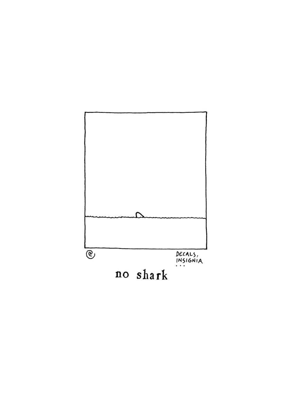 34.shark