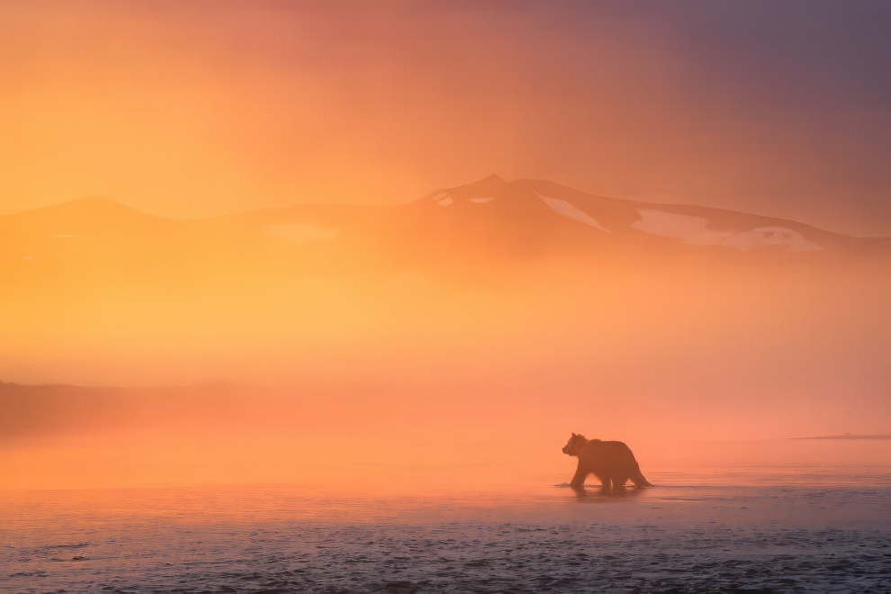 International photo awards 2024 nature winners 02