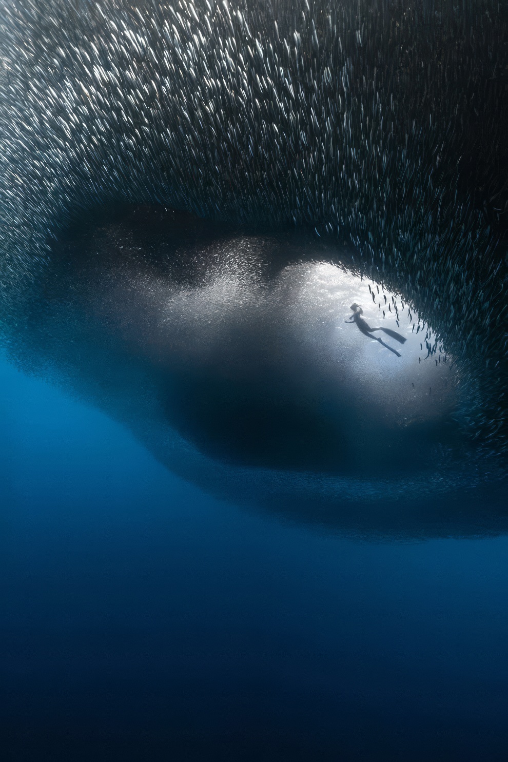 International photo awards 2024 nature winners 03