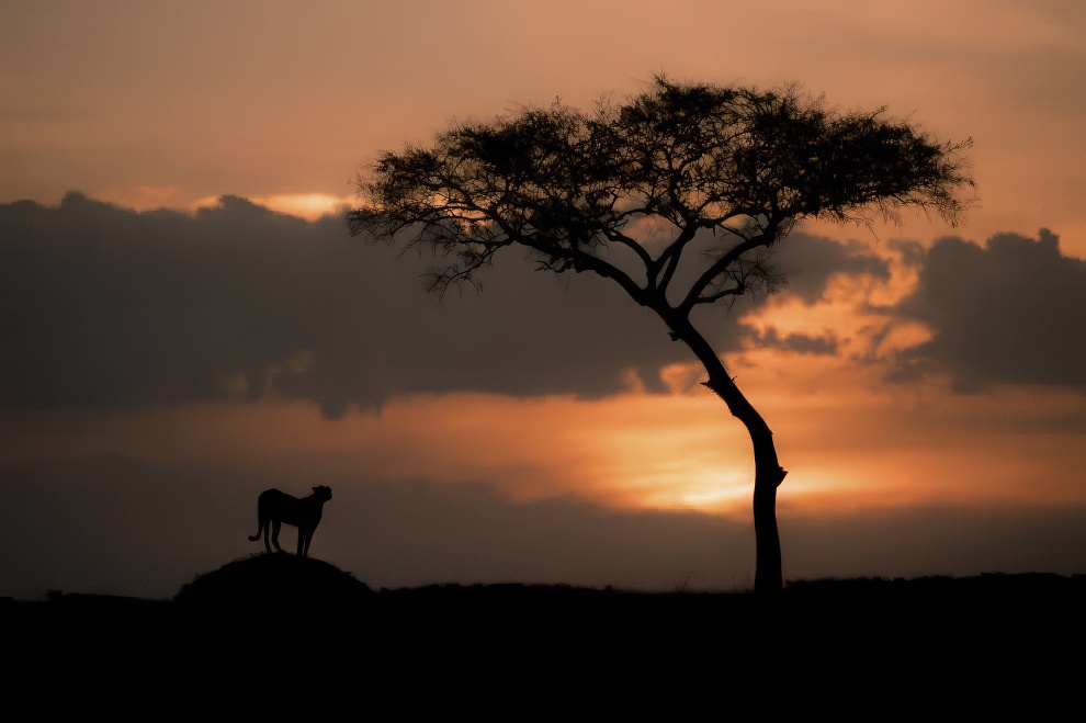 International photo awards 2024 nature winners 12