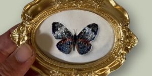 I create miniature framed paintings that fit in the palm of your hand 68068c4f1f475 png 700