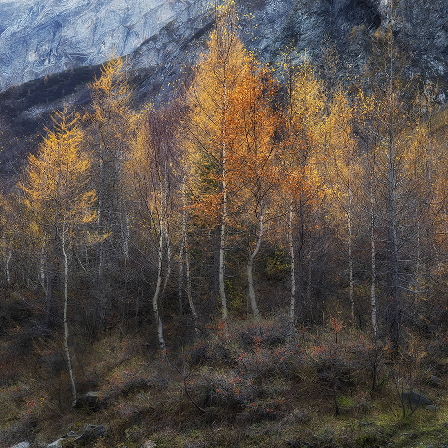 Fine art photography awards nature winners 12