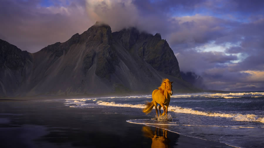 Fine art photography awards nature winners 15