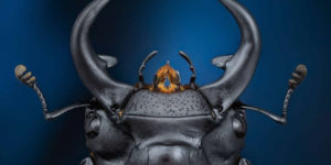 35 photography awards macro winners 08