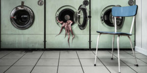 Food photography awards 2025 winners 10