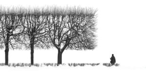 35 photography awards black and white winners 26