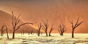 The artist gallery landscape awards 2025 winners 07