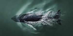 International aerial photo awards 2025 winners 12