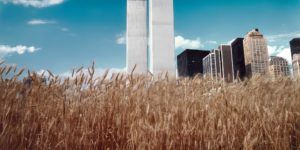 Artist Agnes Denes Grow a Field of Wheat in in Lower Manhattan, New York, 1982
