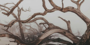 Spectacular Winning Landscape Photos from the reFocus 2025 Color Photography Awards