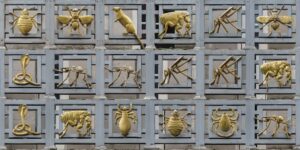 Gilded Disease-carriers Are the Grilles That Adorn the Facades of the London School of Hygiene and Tropical Medicine, Depicting Lice, Mosquitoes and So on