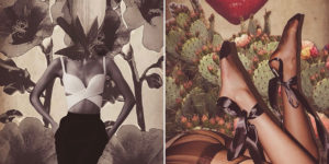 Wild at Heart: Beautiful Digital Collages by Annita Stamati
