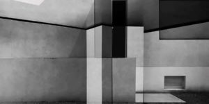 Amazing Winning Photos from the Shape Category from the 2025 AAP Magazine Awards