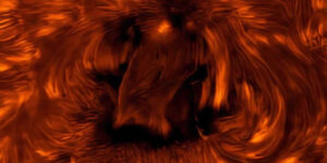 Spectacular Winning Photos from the 2025 ZWO Astronomy Photographer of the Year Awards
