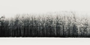 Beautiful Minimalist Fine Art Photographs by Kalle Saarikko