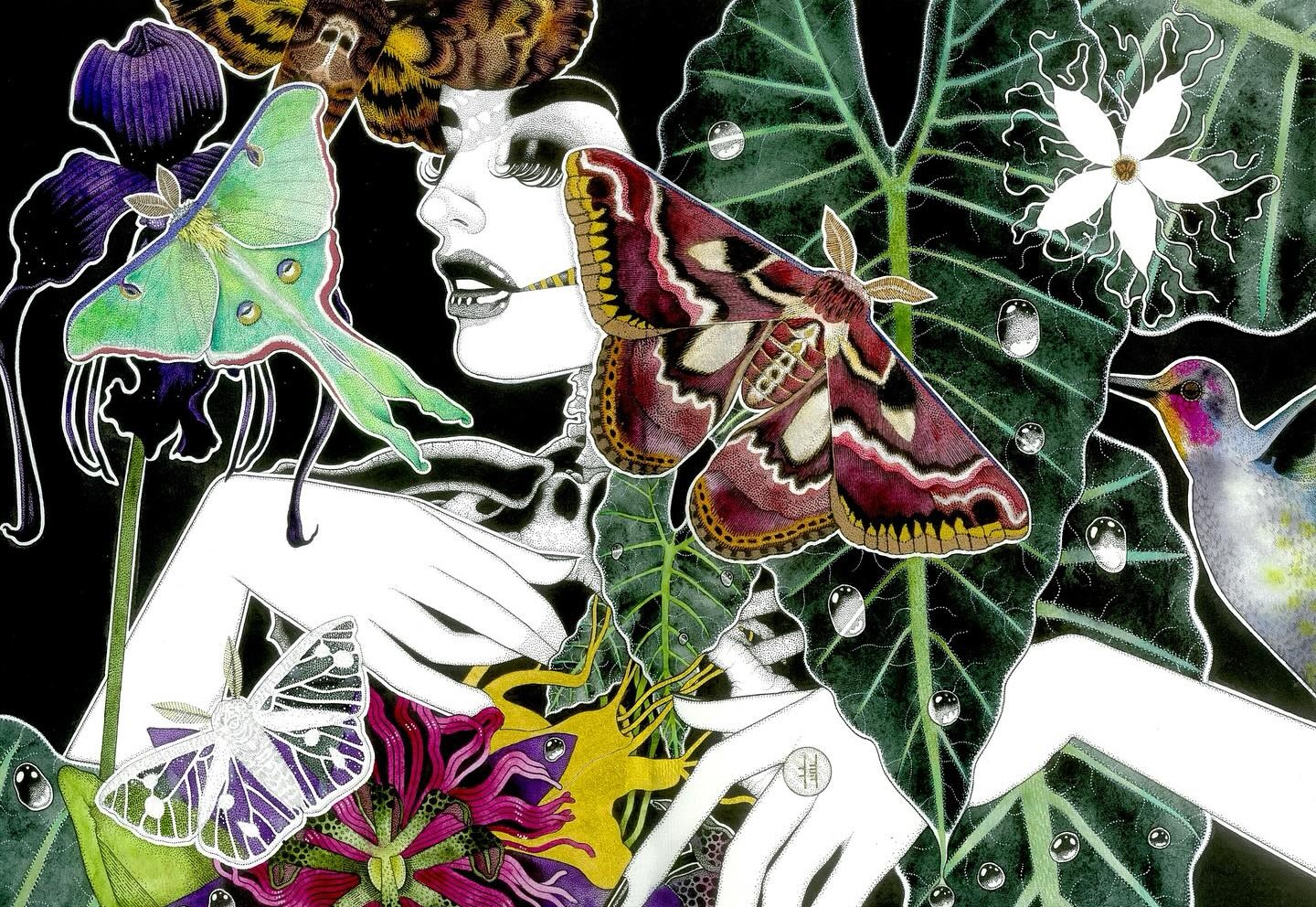 I Sleep on the Edge of a Dream…”: Dark and Surreal Handdrawn