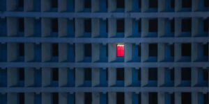 Spectacular Color Category Winners from the 2025 AAP Magazine Awards