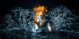 Spectacular Award-Winning Photos That Captured the World at the Global Photography Awards 2025