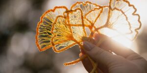 The Art of Breathing Life into Lace: Organic Embroidery by Meredith Woolnough