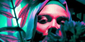 Spectacular Winning Photos from the OnePlus Photography Awards 2025