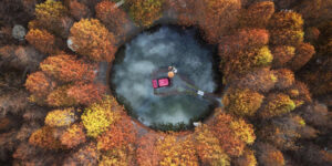 Stunning Award-Winning Nature Photos from the Global Photography Awards 2025