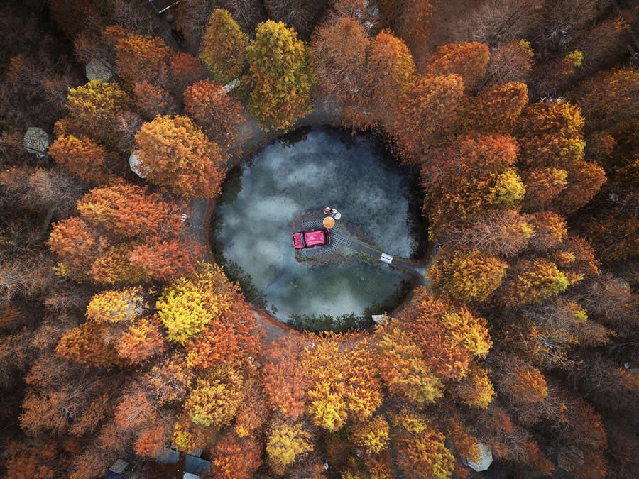 أروع لقطات الطبيعة الفائزة في جوائز التصوير العالمية ٢٠٢٥  
«تصاميم تثق بها» — يوميًا منذ ٢٠٠٧