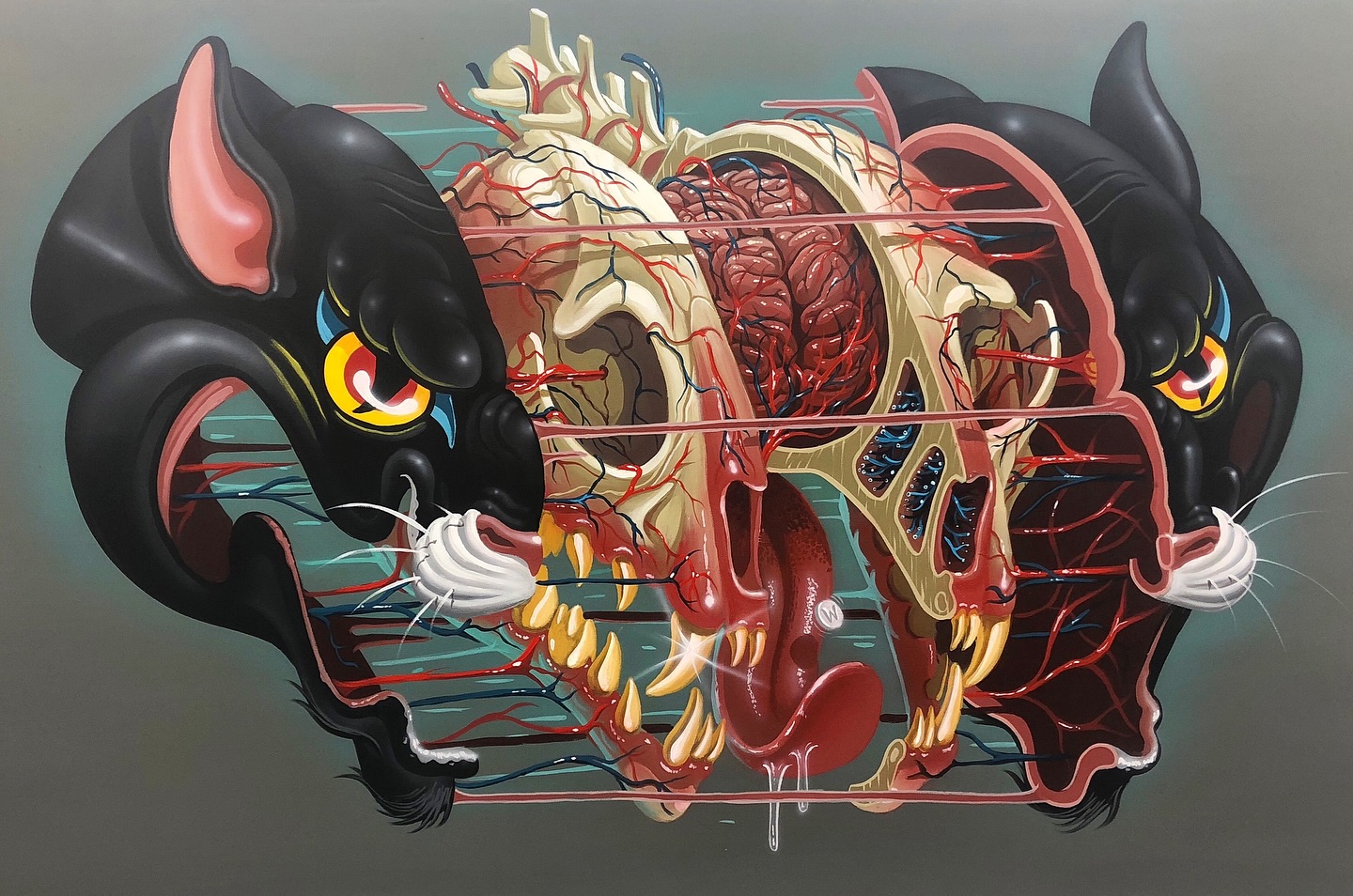 فنان يحول جدران المدينة إلى دروس تشريح في الهواء الطلق  
بجداريات تشريحية عملاقة تكشف أجساد البشر والحيوانات والشخصيات الكرتونية